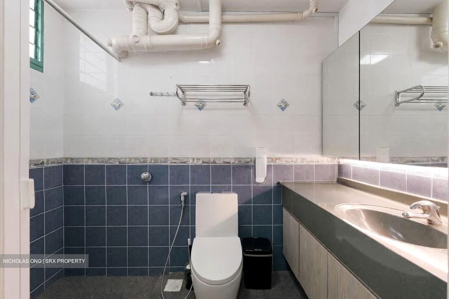 Blk 484 Segar Gardens (Bukit Panjang), HDB Executive #570011691